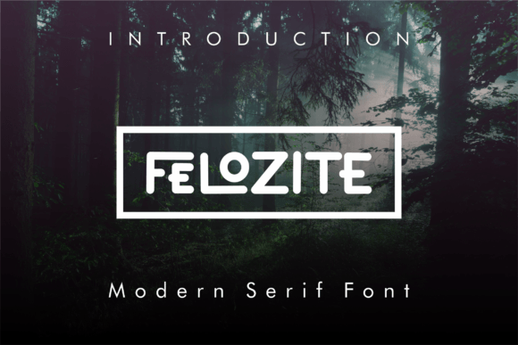 Felozite: A Display Font That Makes Your Brand Feel Intentional
